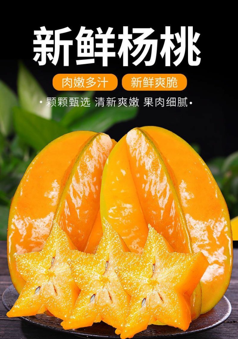 正宗福建漳州下河当季水果(新鲜杨桃)酸甜可口当天现摘现发