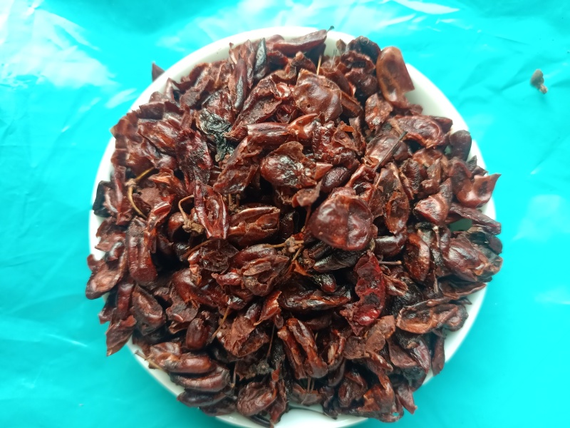 山茱萸山萸肉