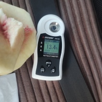 中秋王桃