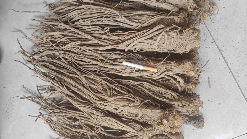 甘肃独活，无硫，精品独活，产地直供，量大从优，现货供应