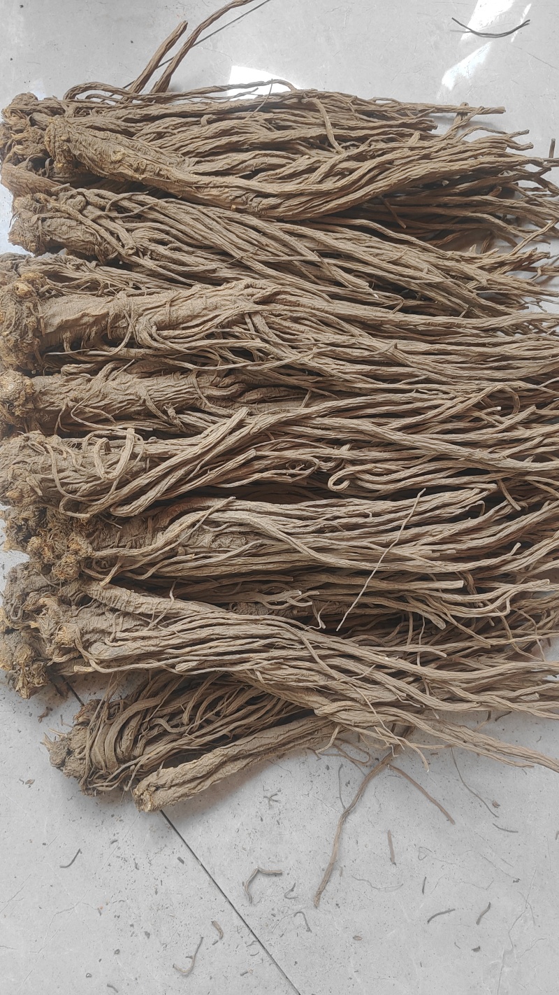 甘肃独活，无硫，精品独活，产地直供，量大从优，现货供应