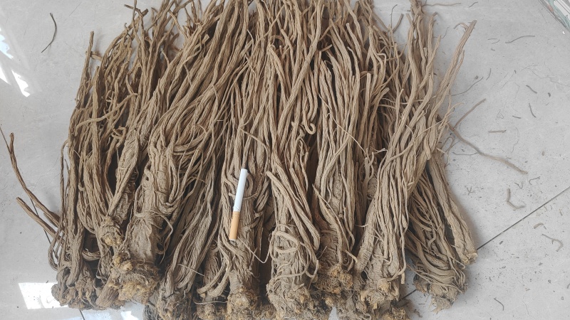 甘肃独活，无硫，精品独活，产地直供，量大从优，现货供应
