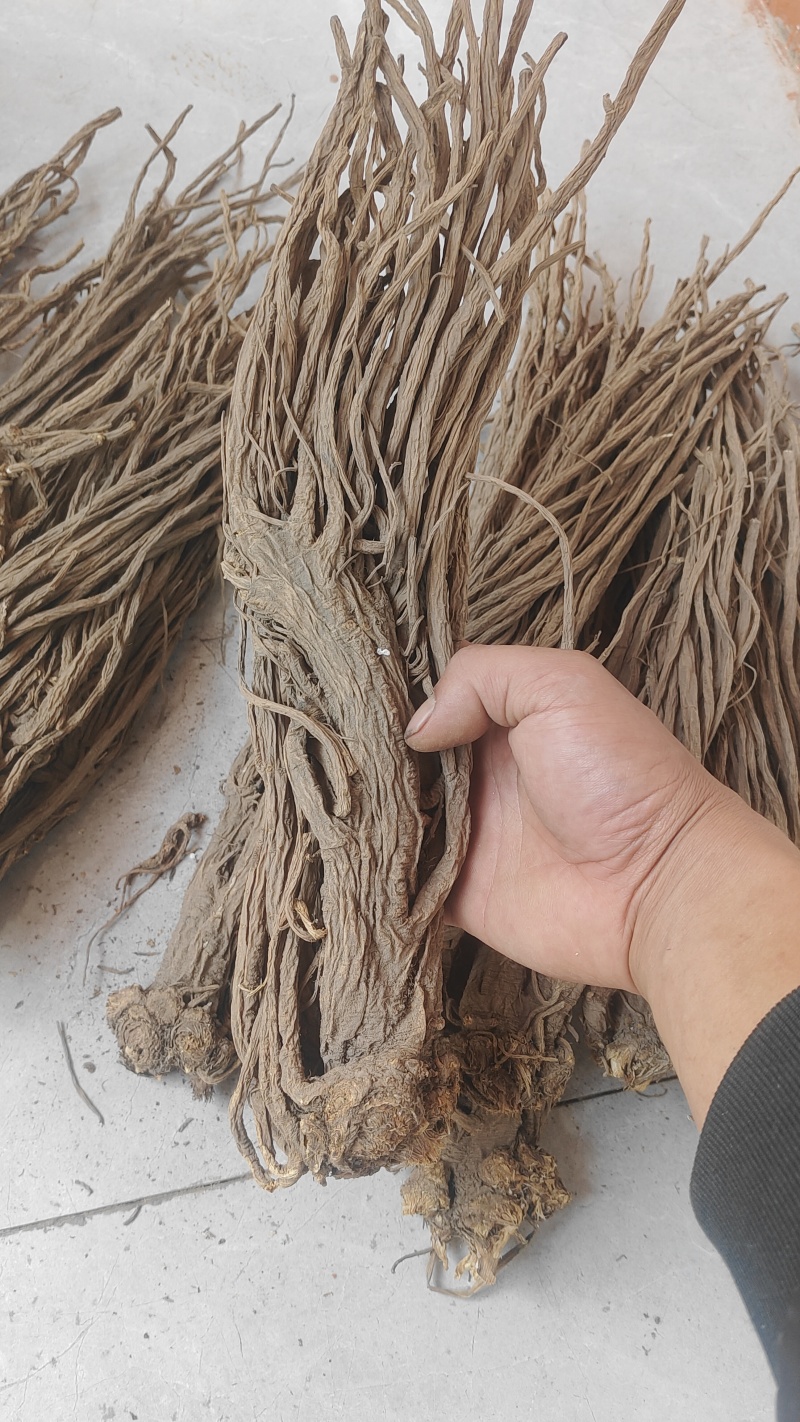 甘肃独活，无硫，精品独活，产地直供，量大从优，现货供应