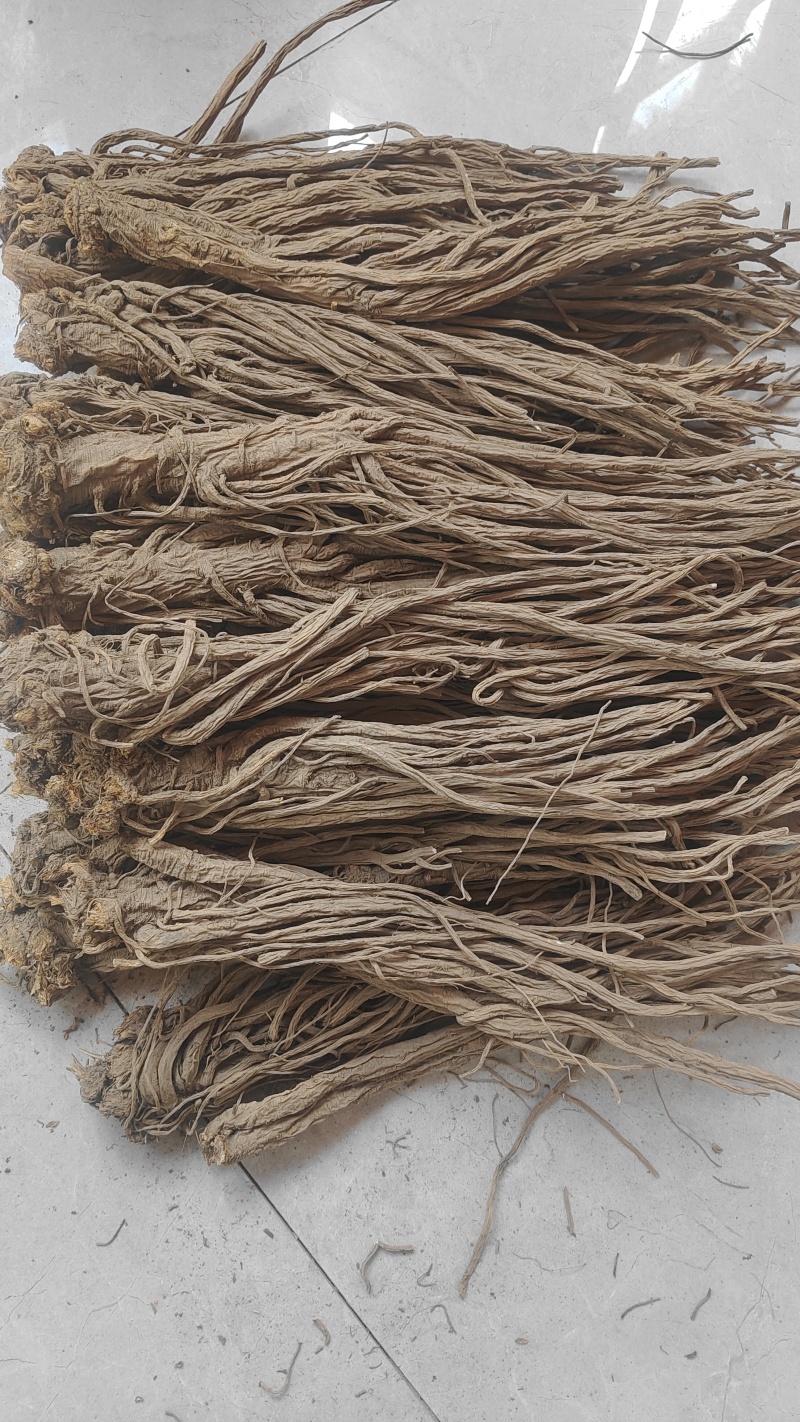 甘肃独活，无硫，精品独活，产地直供，量大从优，现货供应