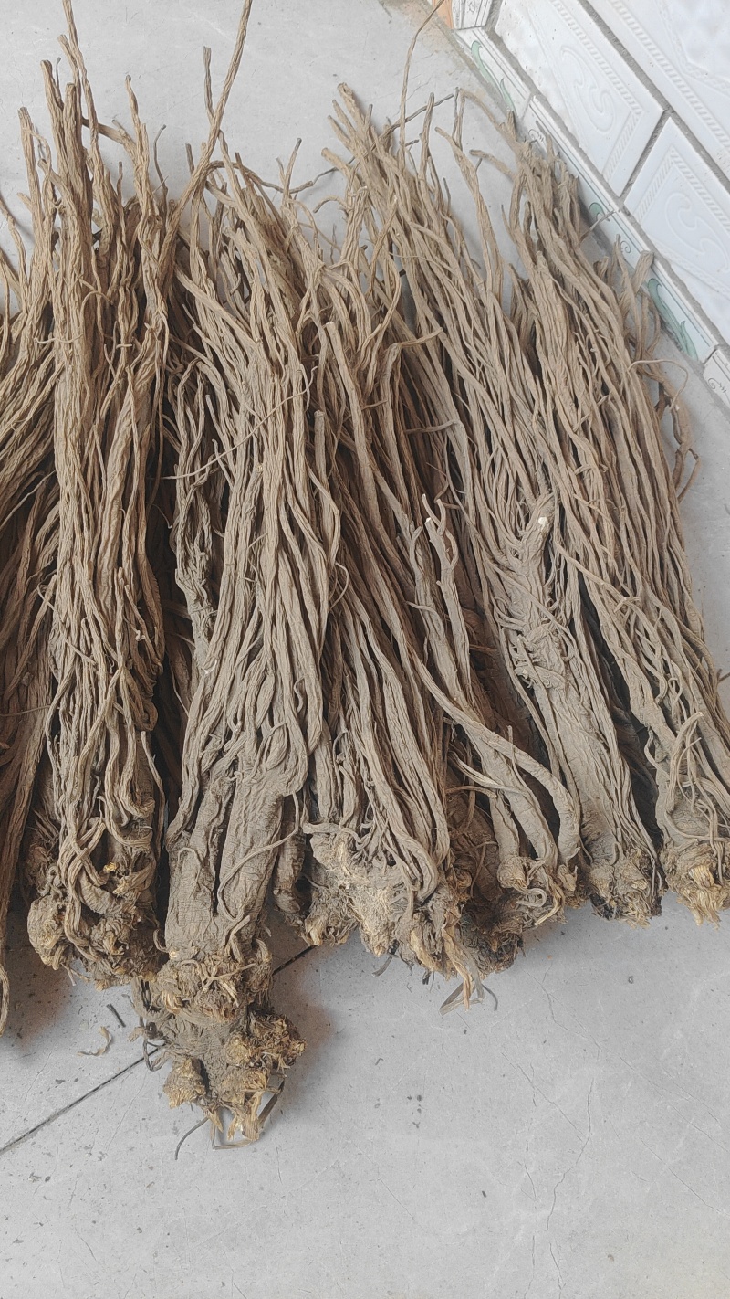 甘肃独活，无硫，精品独活，产地直供，量大从优，现货供应