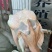 水库生态5年老甲鱼（2～5斤）
