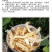（包邮）中药材玉竹500g玉竹根新鲜玉竹干条玉竹片非野生