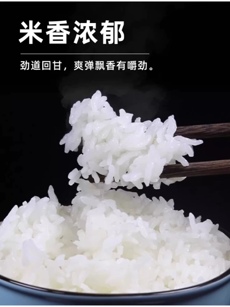 长寿之乡如皋梓鹏富硒米1公斤装吃了身体棒棒