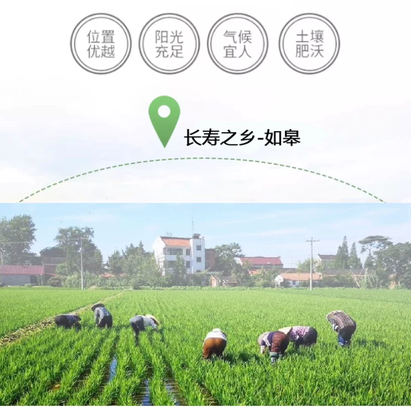 长寿之乡如皋梓鹏富硒米1公斤装吃了身体棒棒