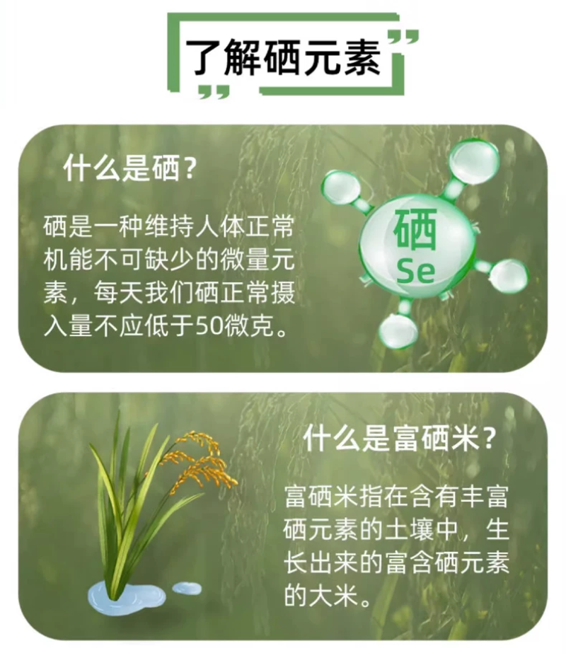 长寿之乡如皋梓鹏富硒米1公斤装吃了身体棒棒