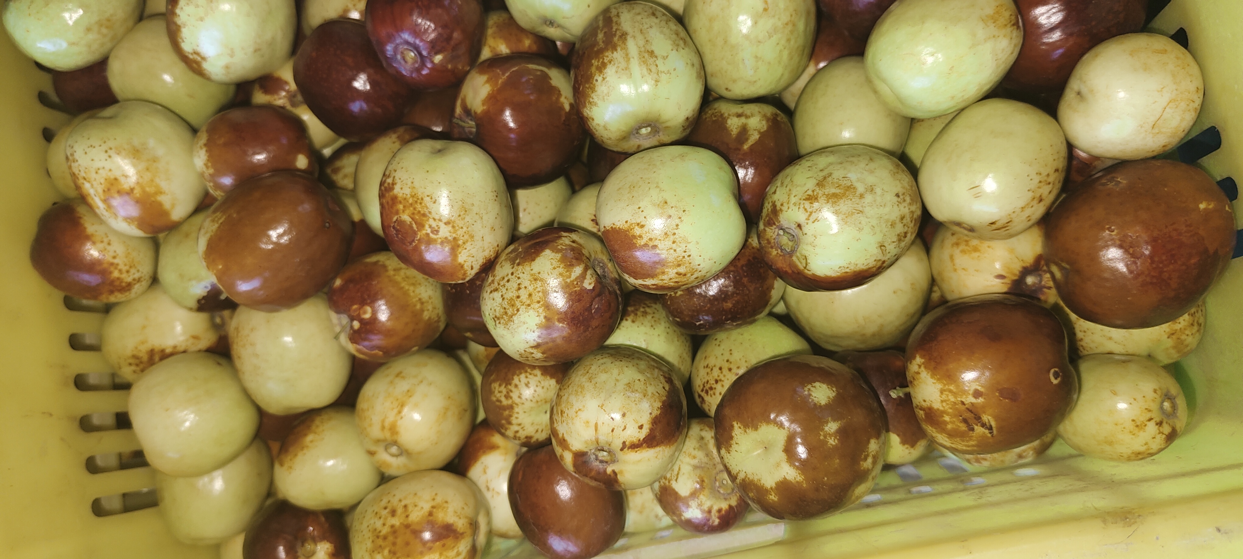 鲜枣与眼部健康