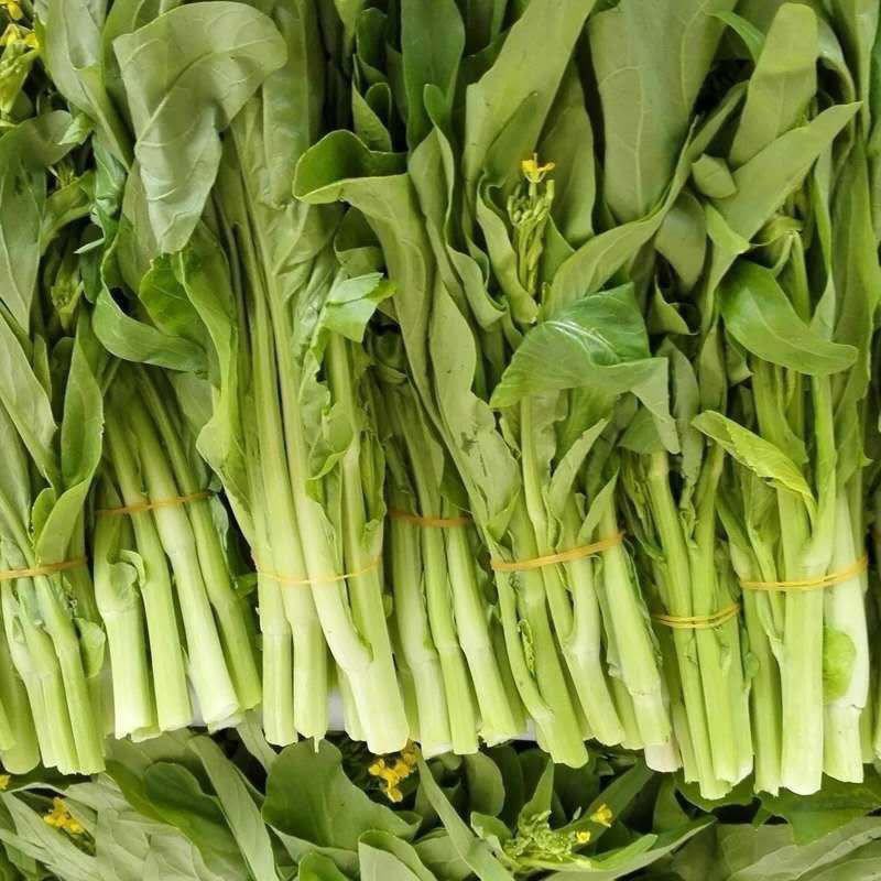 翠玉白菜苔种子白嫩甜脆耐寒抗病农家秋季播种精选菜苔种