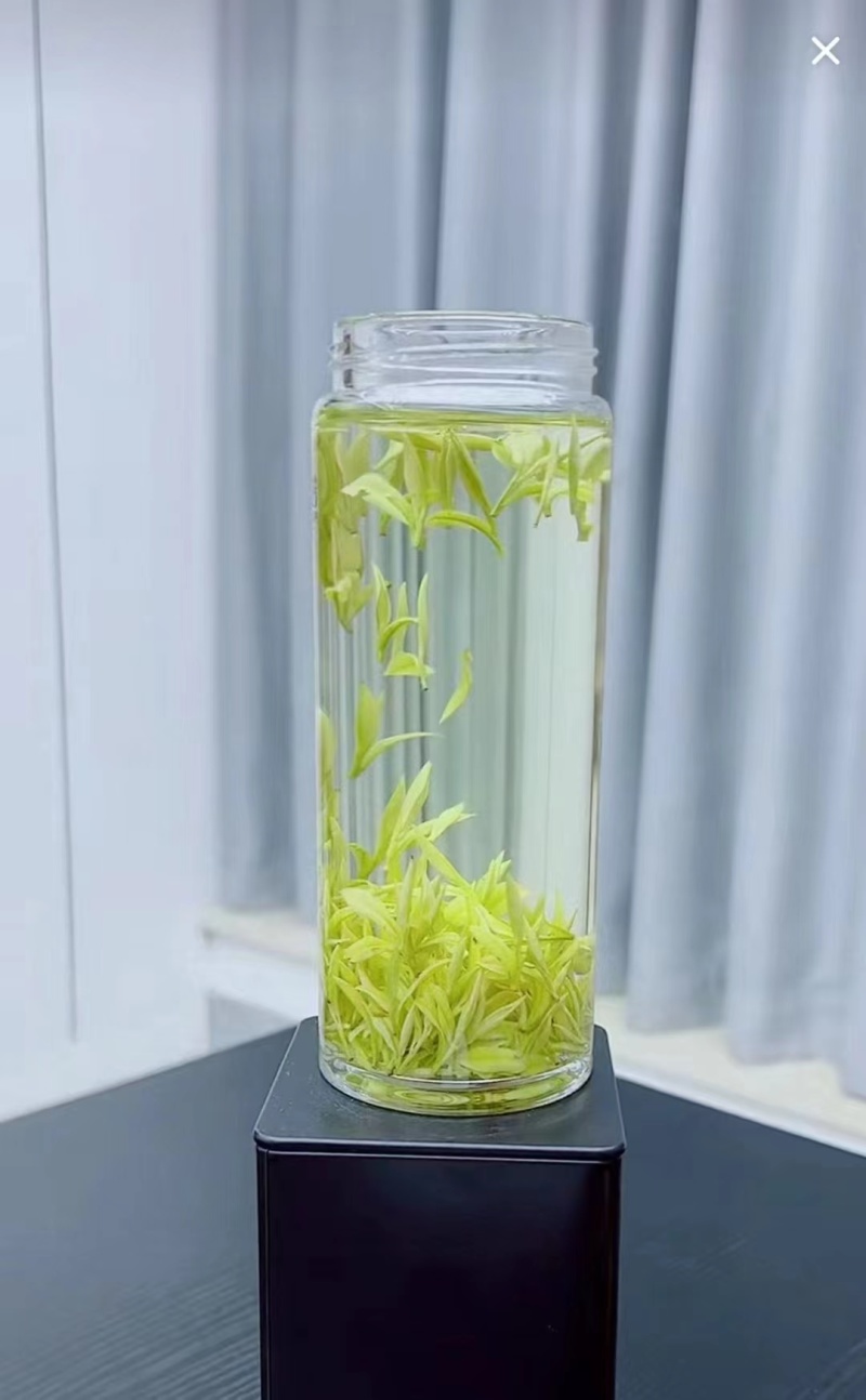 当年明前白茶绿茶黄金芽，不以次充好