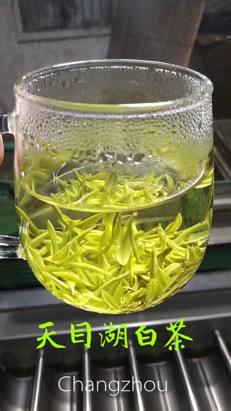 当年明前白茶绿茶黄金芽，不以次充好