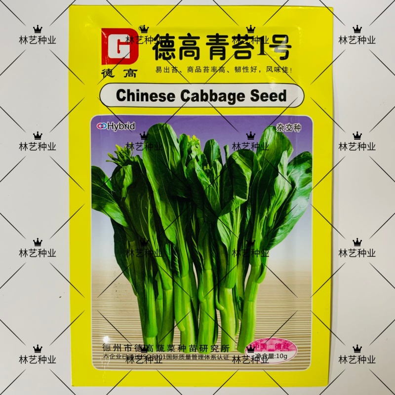 德高青苔1号菜苔种子早熟甜脆稳产耐热农家秋季播种优质菜种