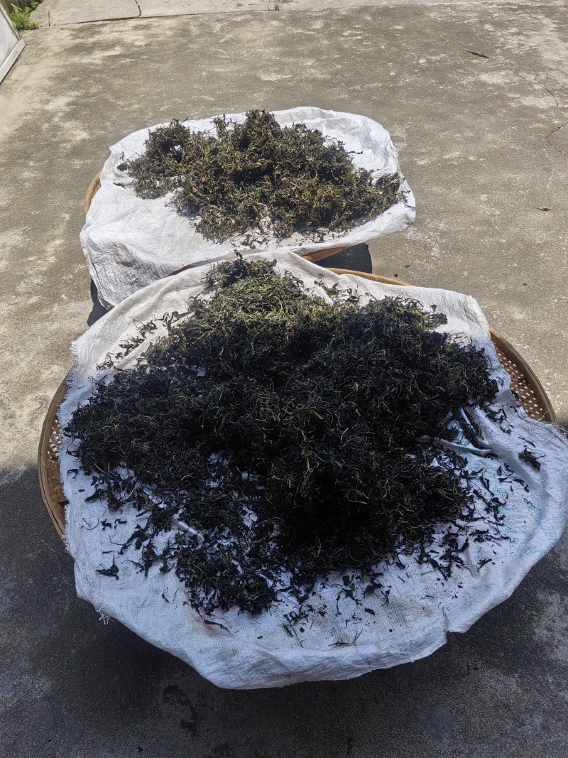 纯野生苦斋干