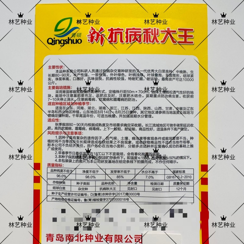 抗病秋大王大白菜种子高产优质耐贮运白菜种籽四季蔬菜孑秋播