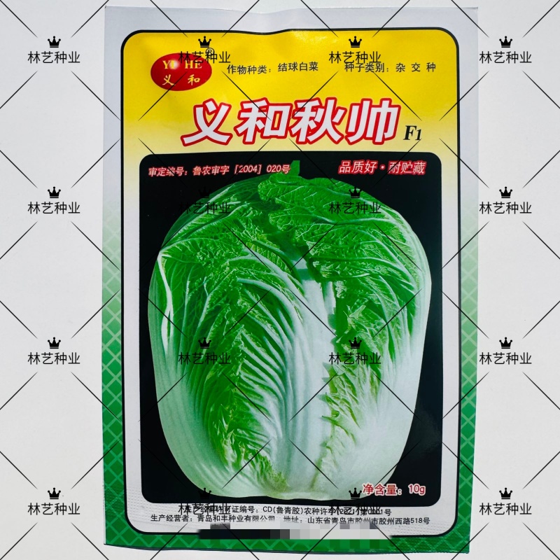 义和秋帅大白菜种子山东白菜籽口感好冬季耐寒四季秋优质蔬菜