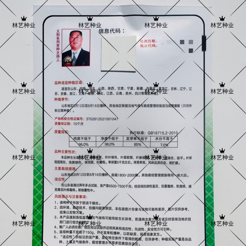 义和秋帅大白菜种子山东白菜籽口感好冬季耐寒四季秋优质蔬菜