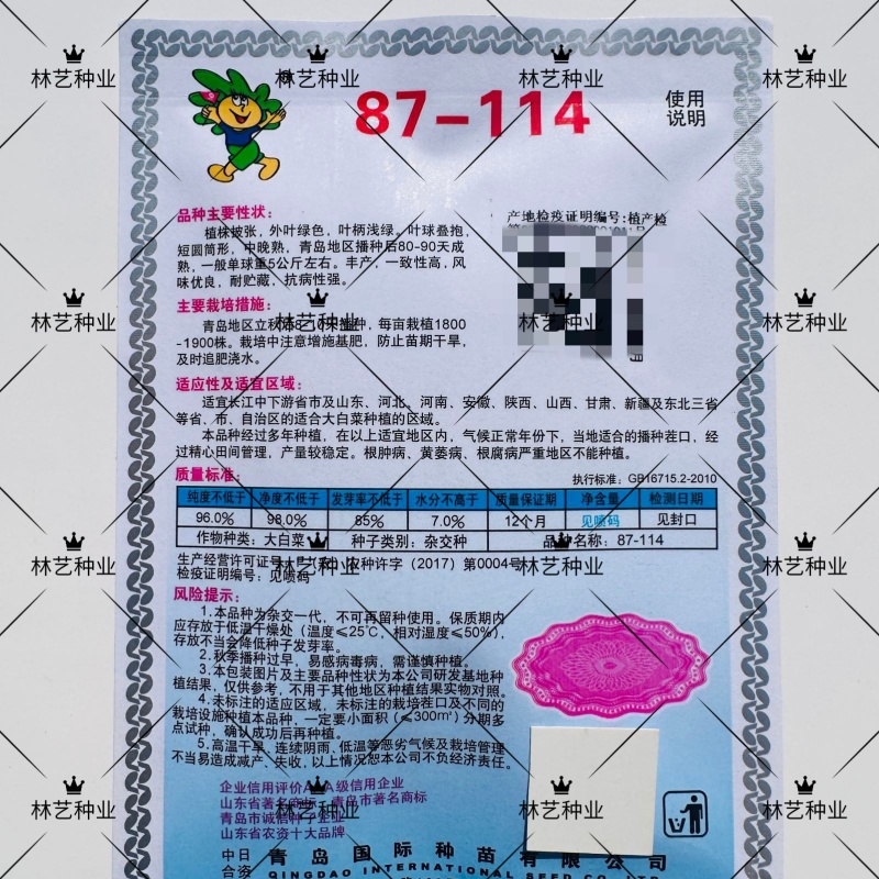 琴萌87-114大白菜种子中晚熟高产抗病秋冬季农家蔬菜