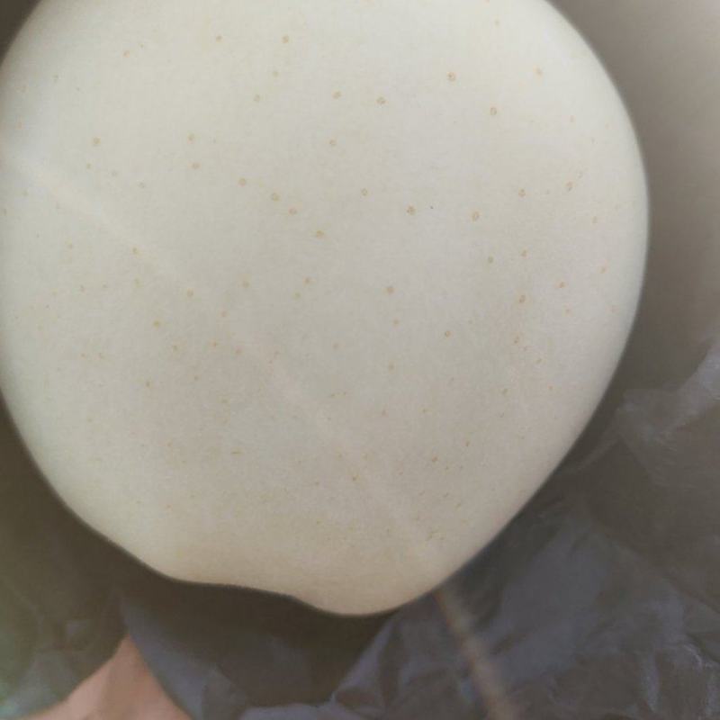 黄元帅大量货源，价钱合理，品质保证