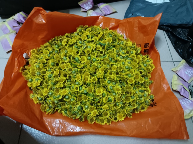 旋覆花（野菊花）