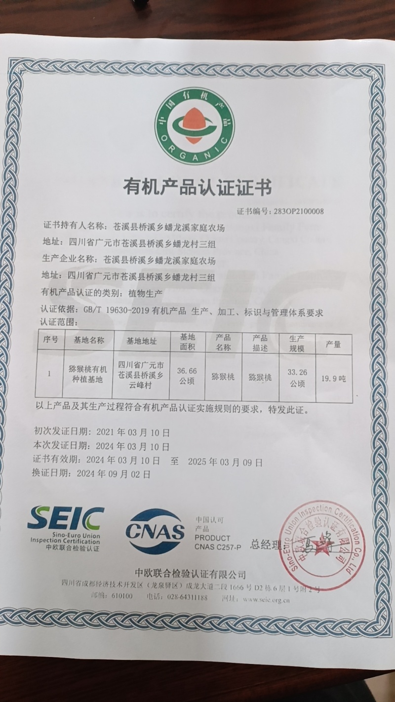 桥溪乡的红心猕猴桃生态果有机果真正的正品红心猕猴桃