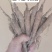 白芍苗，芍药苗，赤芍苗，药用芍药苗专业提供药材种植批发