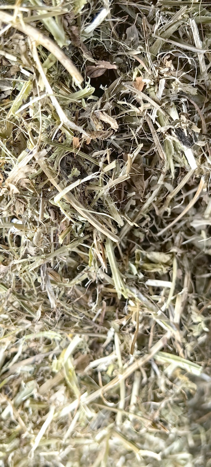 驻马店万里饲草供应本草场常年供应花生秧羊草花生秧叶粉