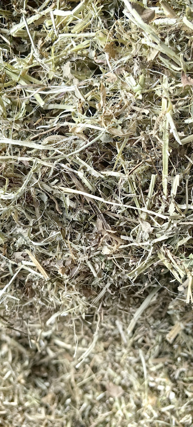 驻马店万里饲草供应本草场常年供应花生秧羊草花生秧叶粉