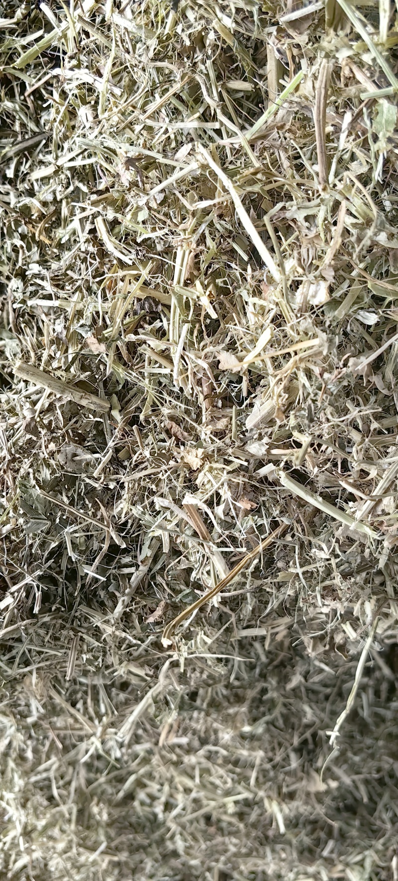 驻马店万里饲草供应本草场常年供应花生秧羊草花生秧叶粉