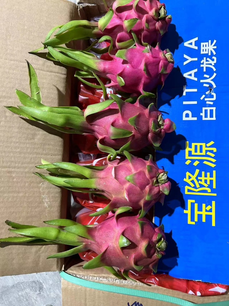外贸出口只做好货火龙果什么规格都可以做箱子没有越南字