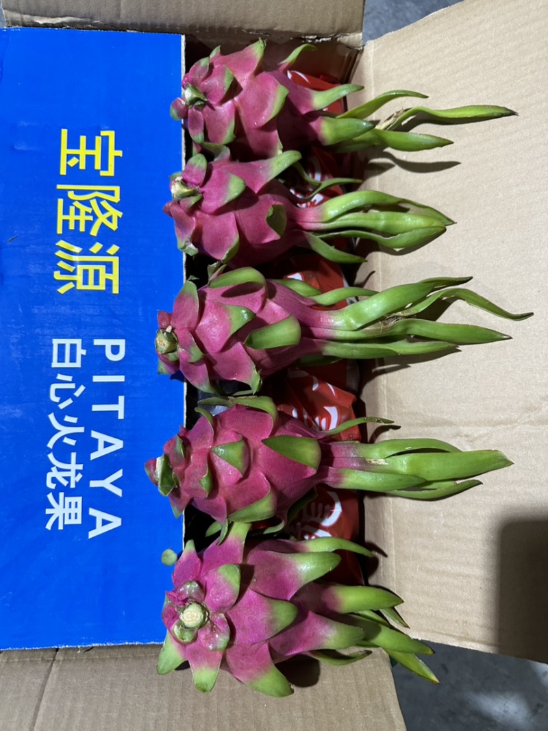 外贸出口只做好货火龙果什么规格都可以做箱子没有越南字