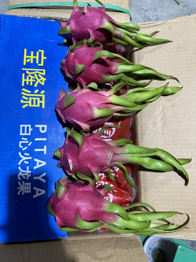 外贸出口只做好货火龙果什么规格都可以做箱子没有越南字