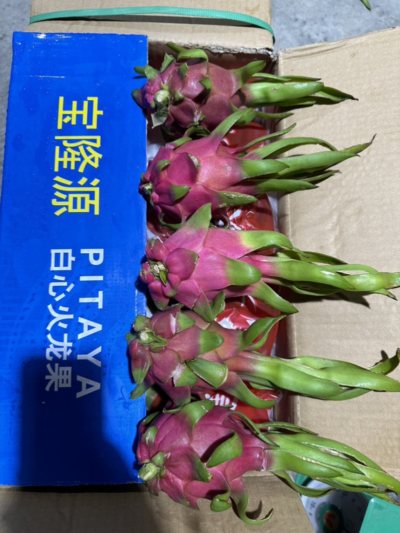 外贸出口只做好货火龙果什么规格都可以做箱子没有越南字