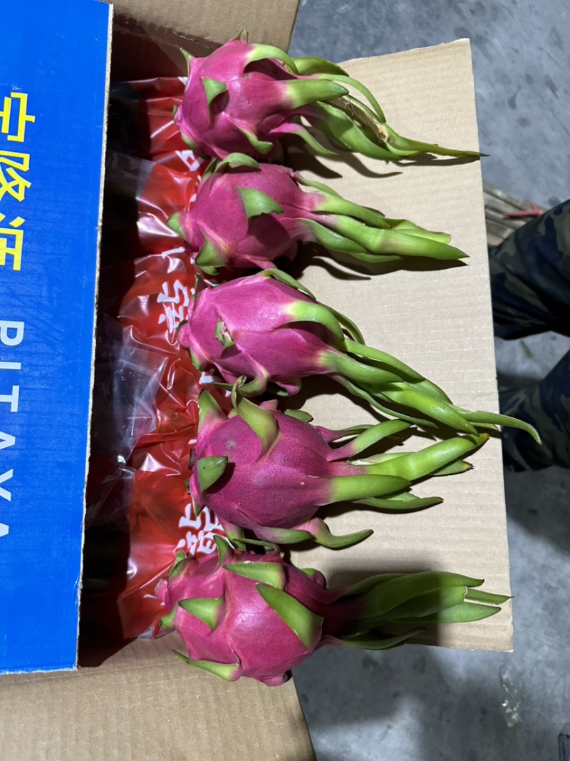 外贸出口只做好货火龙果什么规格都可以做箱子没有越南字