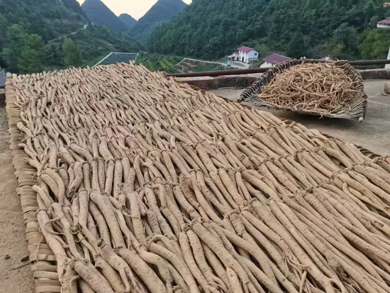 精品党参产地发货货源充足量大从优质量保证欢迎咨询