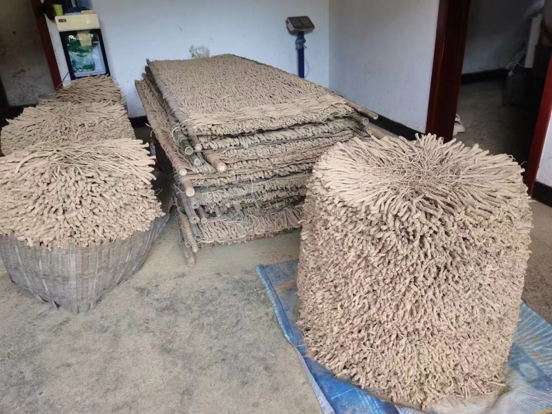 精品党参诚信经营货源充足量大从优质量保证欢迎咨询