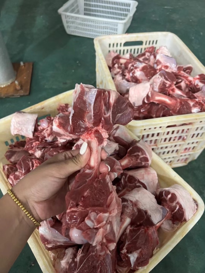 羊棒骨，河北工厂，欢迎咨询，保证个个满肉