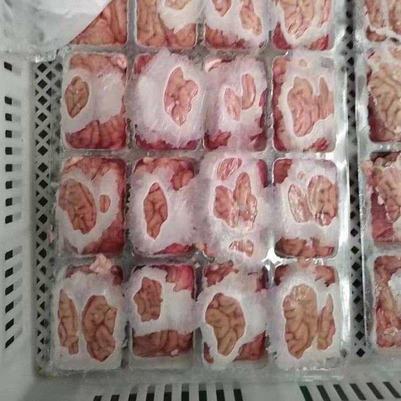 猪脑