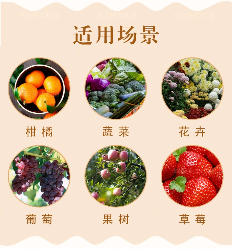 马革30%啶虫脒仲丁威甘蓝蚜虫粉虱蓟马跳甲杀虫剂农药蔬菜