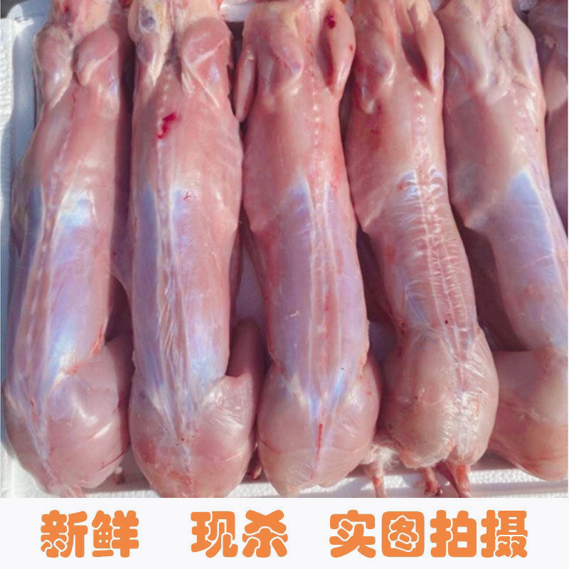 带头去头兔肉新鲜现杀整只诚信经营支持视频看货
