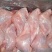新鲜兔腿【前后腿规格齐全】厂家直销，大量有货