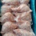 新鲜兔腿【前后腿规格齐全】厂家直销，大量有货