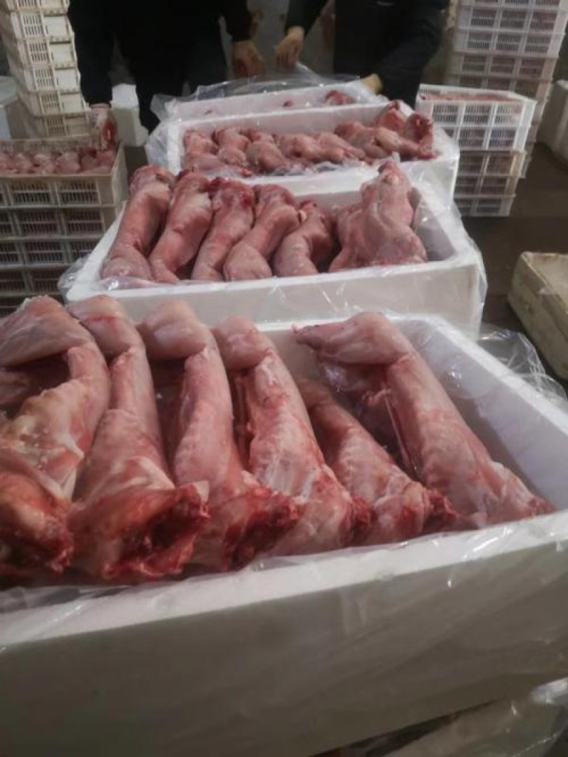 兔肉产品规格齐全，全年供应，价格实惠，欢迎沟通