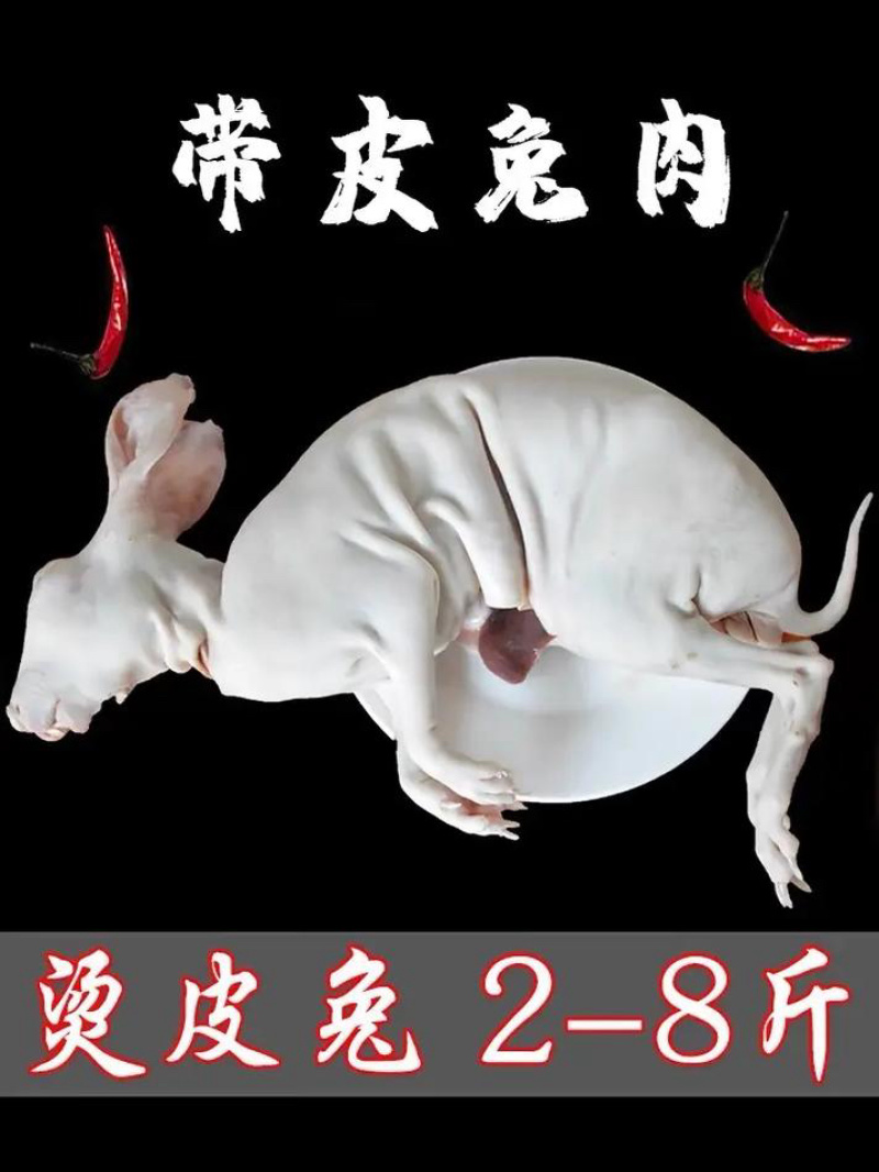 【赞！】手工烫皮兔质优价廉，冷链配送，欢迎洽谈合作