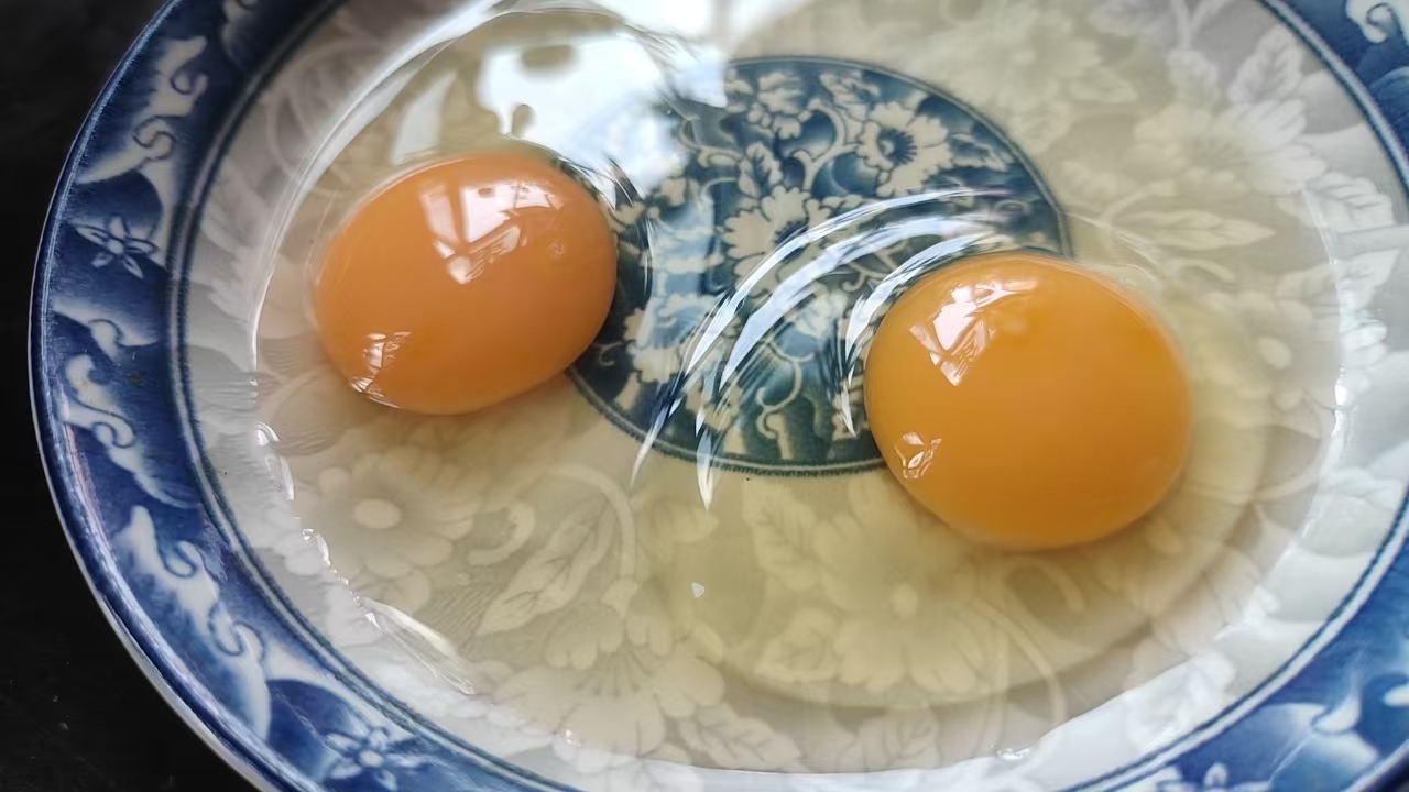 双黄鸡蛋示意图