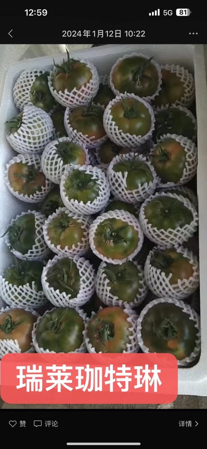 草莓番茄种子酸甜可口黄金配比真正小时候的味道