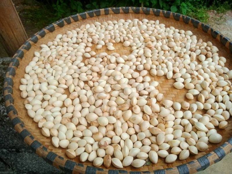 新鲜白果，营养丰富，口感鲜美，限时特惠，快来选购！