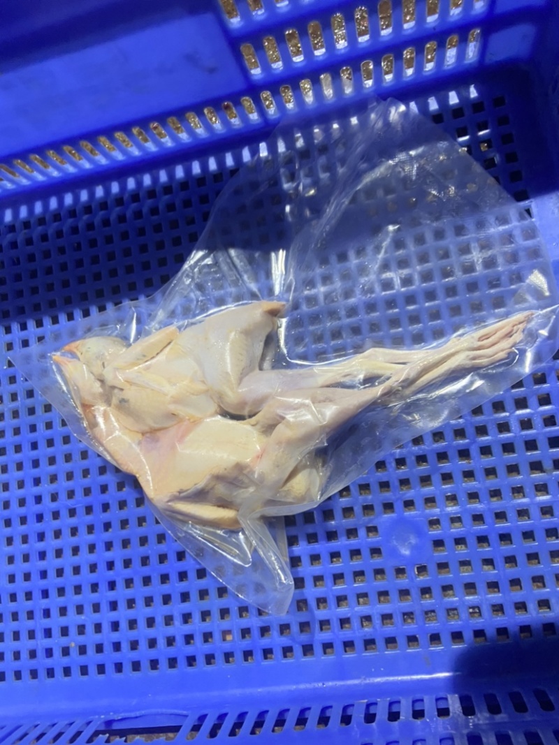 佛山鹧鸪肉。基地直发，真空包装欢迎进店咨询。